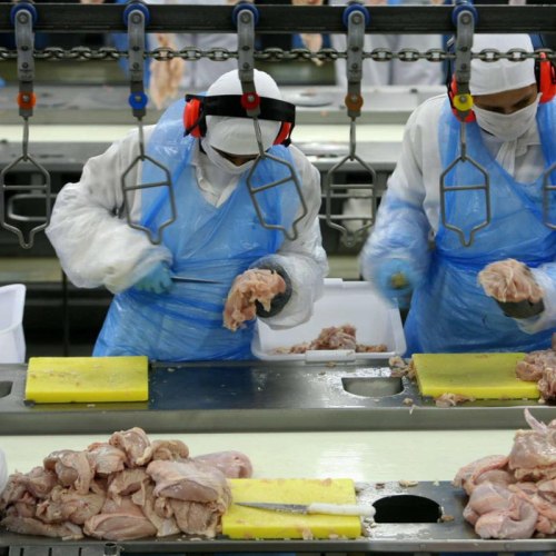 Пищевая промышленность