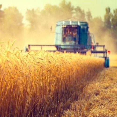 Сельскохозяйственная промышленность